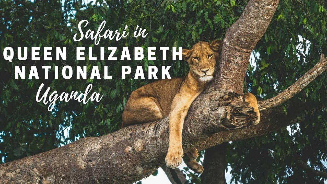 Safari in Queen Elizabeth National Park, Uganda
