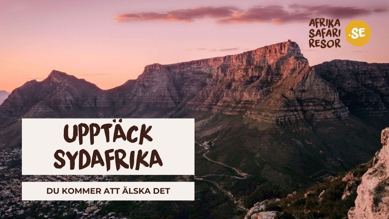 Nyhet! Res till Sydafrika med Afrika Safari Resor