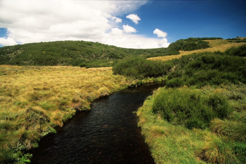 Vy över landskap och flod i Aberdare nationalpark