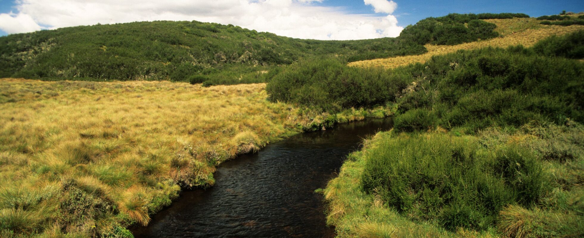 Vy över landskap och flod i Aberdare nationalpark