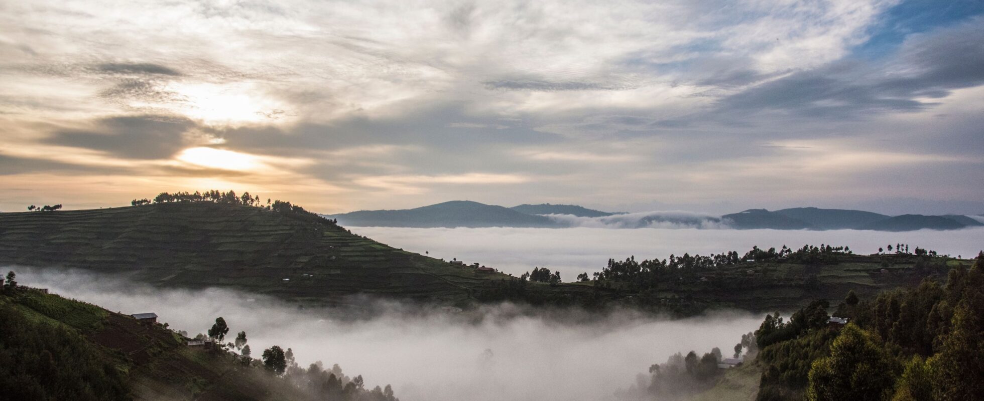 Dimma över Bwindi Impenetrable National Park med berg i bakgrunden