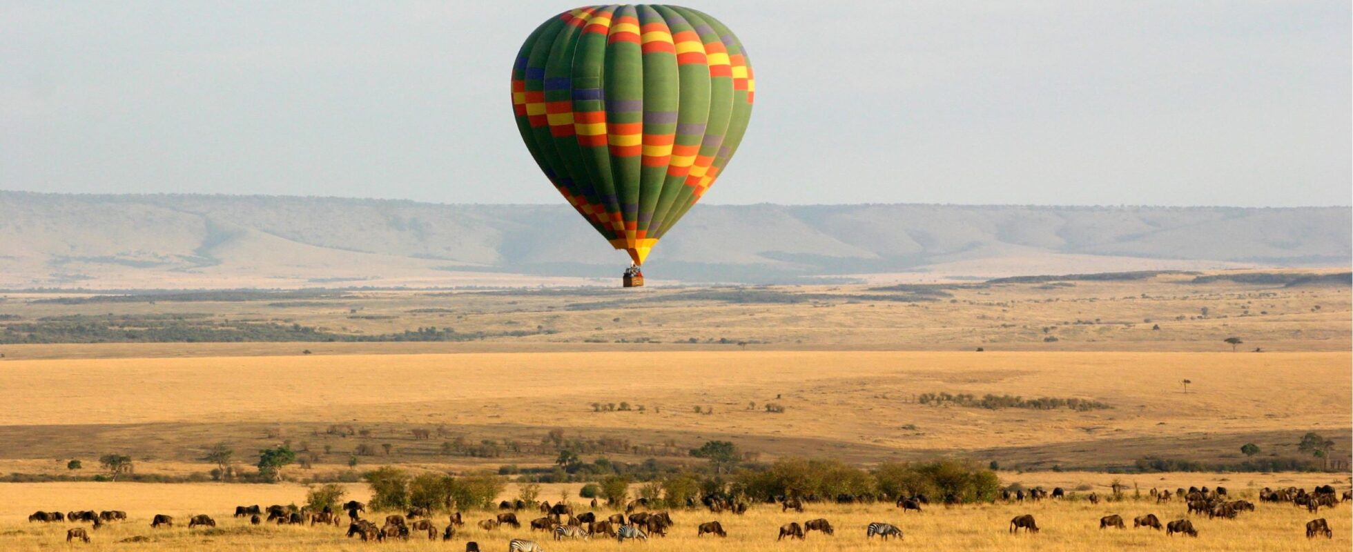 Luftballong över Masai Mara med zebror och gnuer i savannen