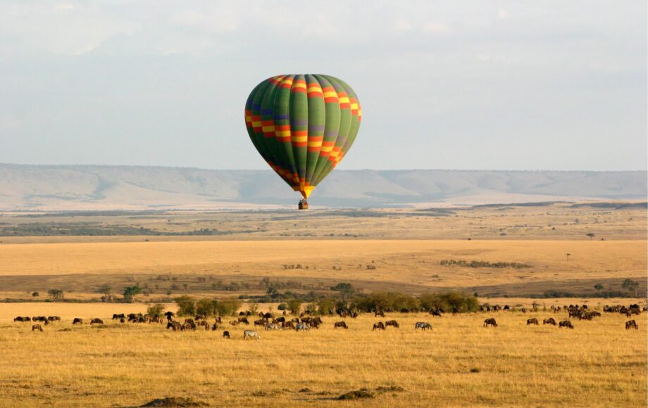 Luftballong över Masai Mara med zebror och gnuer i savannen