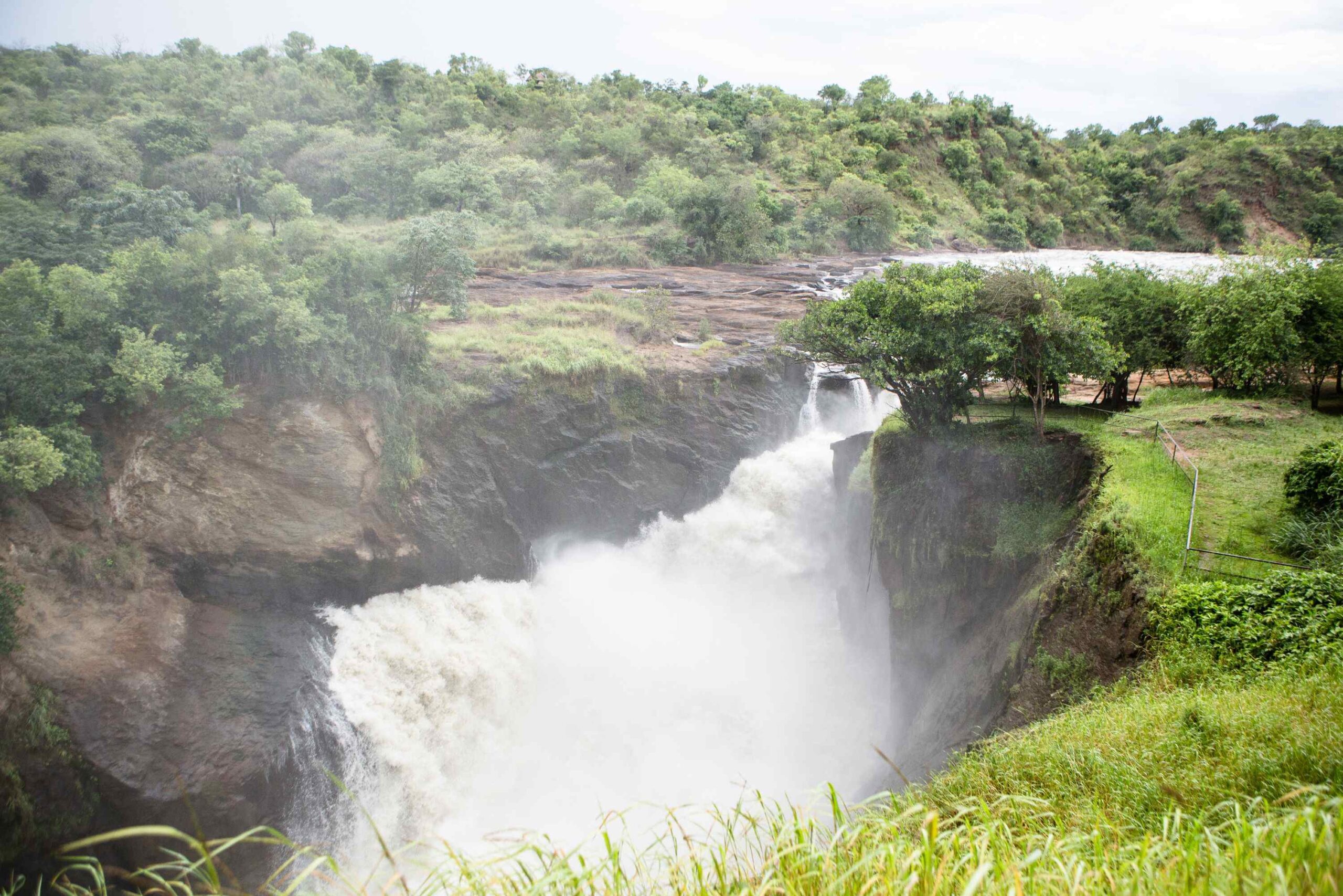 Toppen av Murchison Falls – Vandring i Murchison Falls National Park