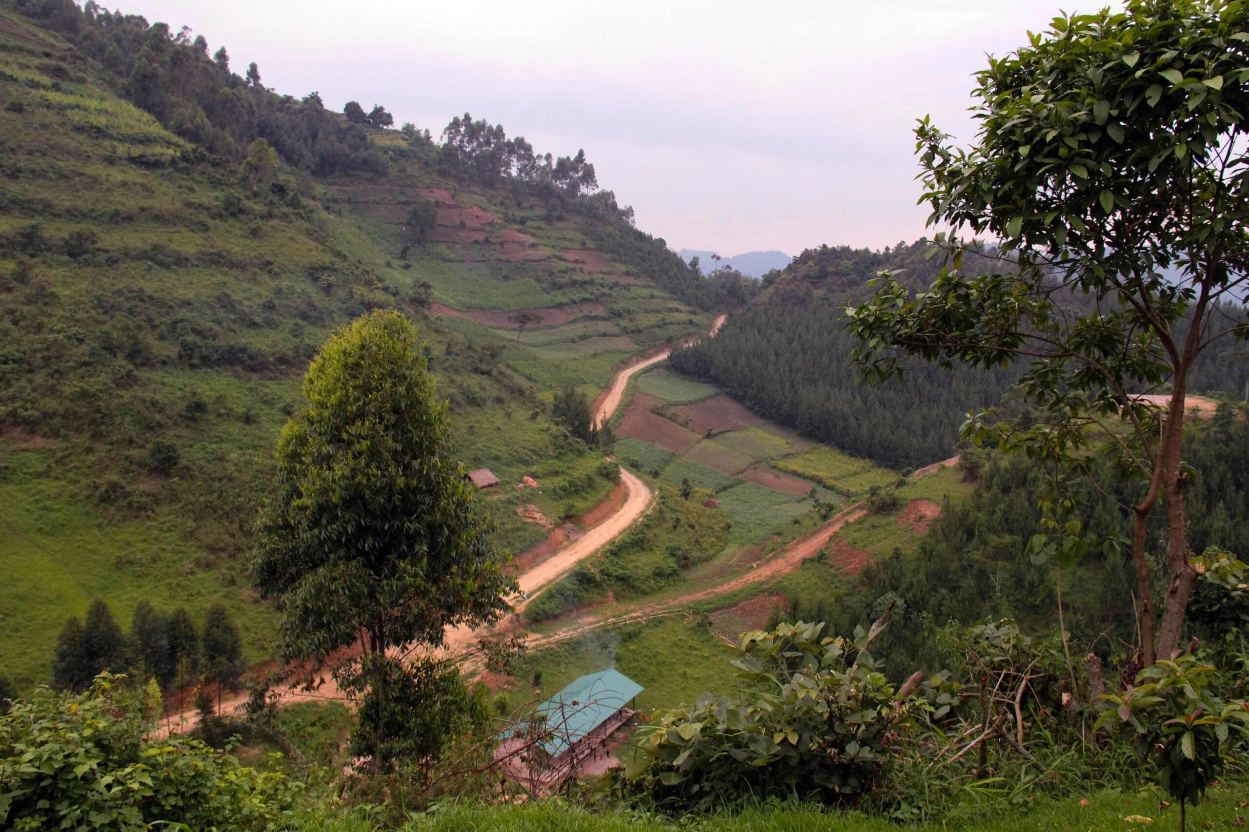 Bilfärd från Queen Elizabeth till Bwindi Impenetrable Nationalpark