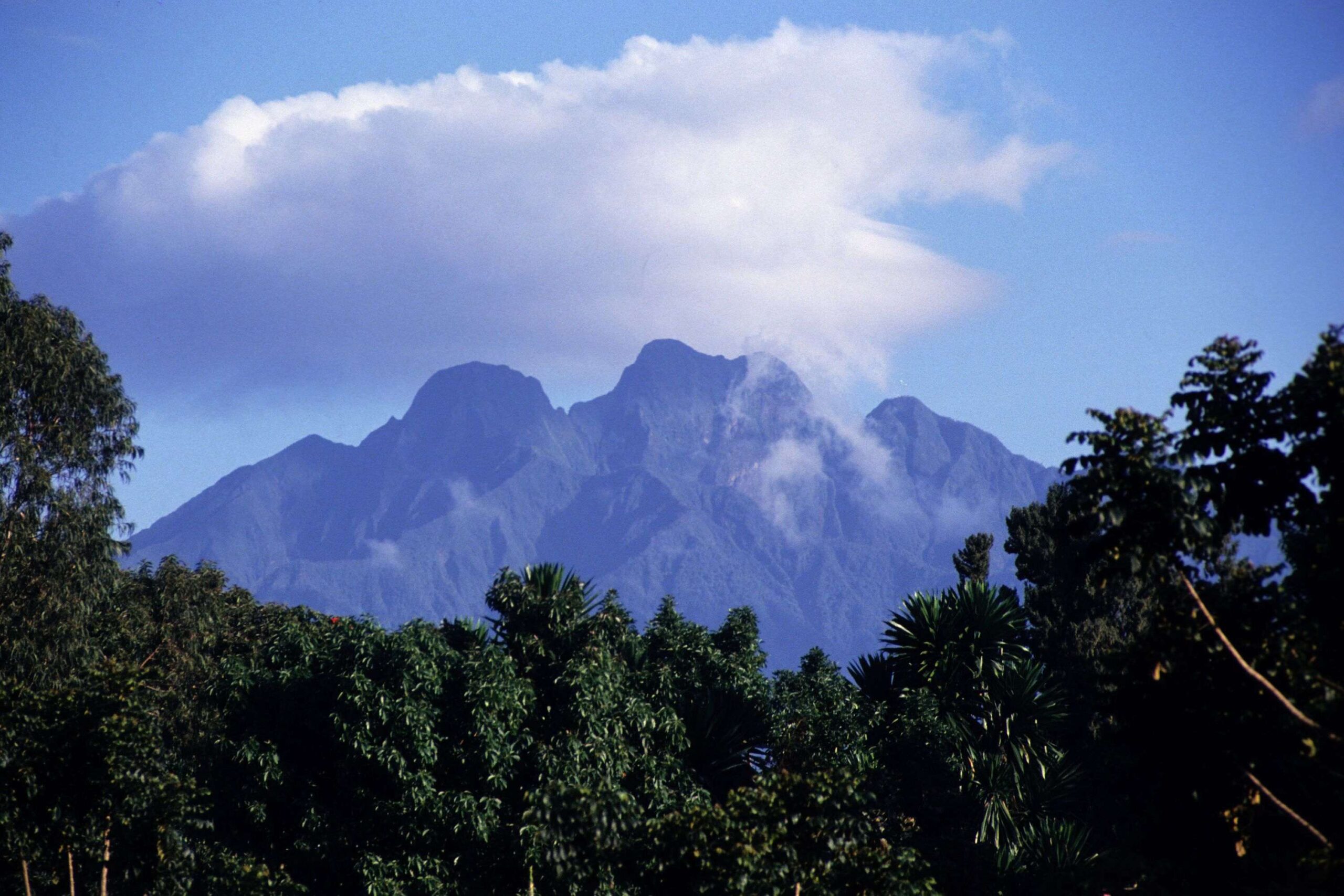 Vandring på Sabinyo Volcanoe i Mgahinga Gorilla National Park