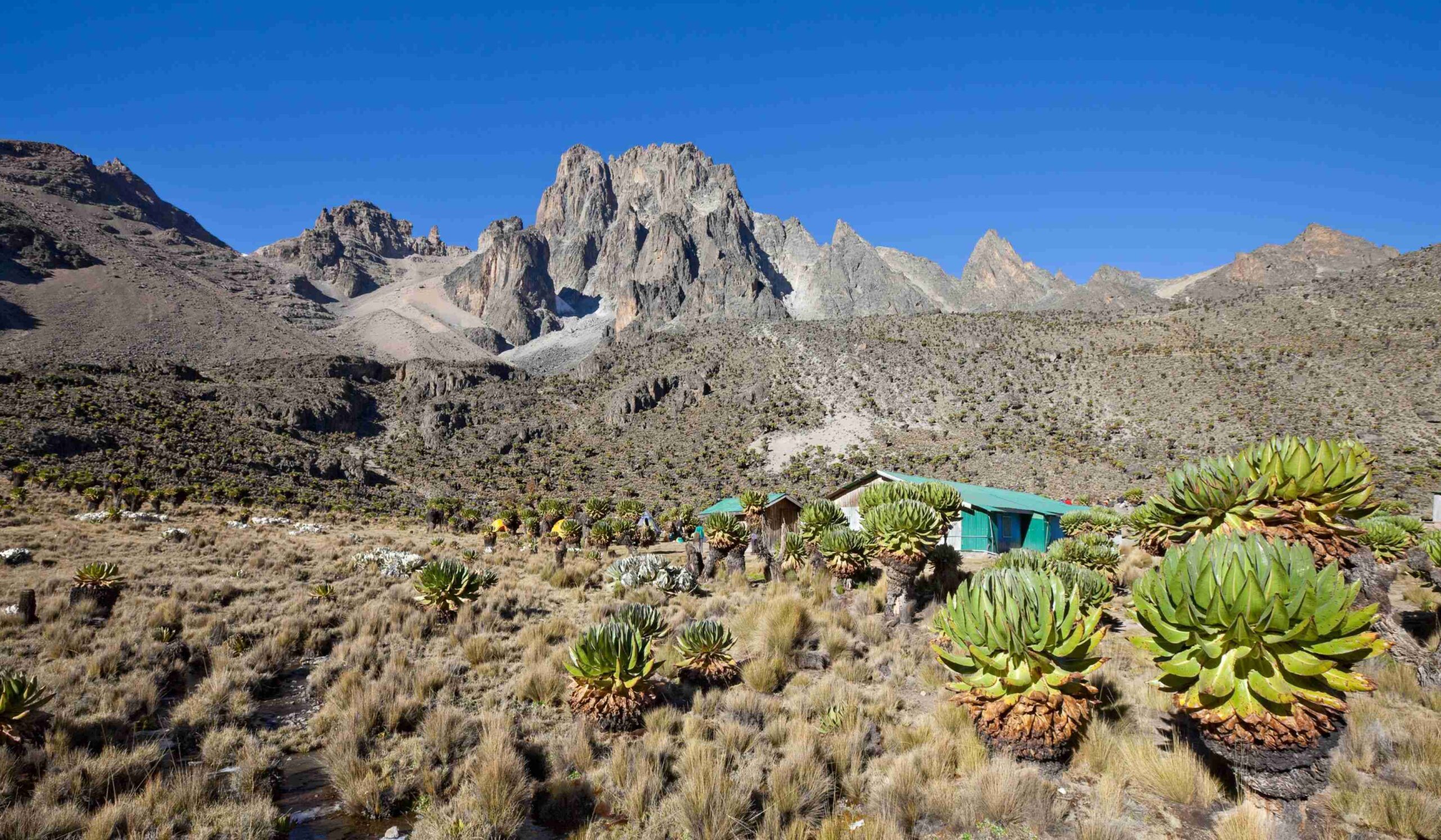 Mount Kenya via Sirimon Route (3/5) | Acclimatization day at Shipton's Camp (4,200 m/13,779 ft)