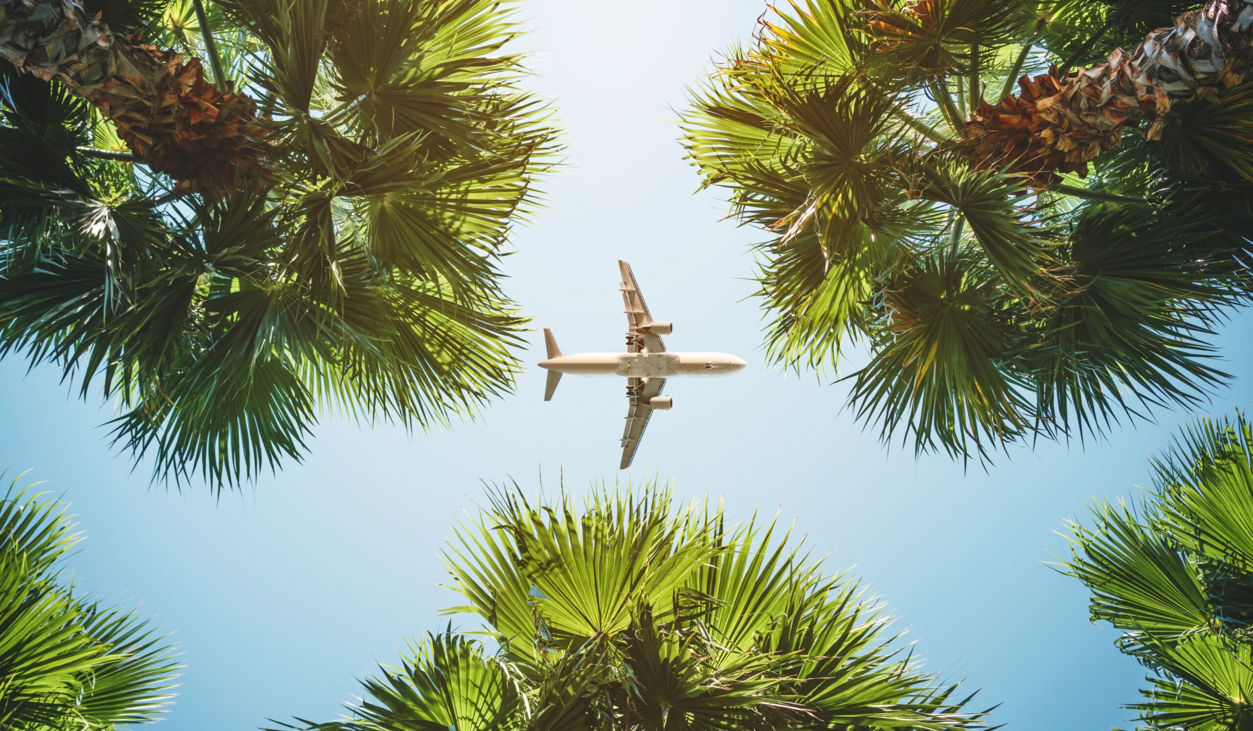 Flyg till Diani Beach (inkluderat i priset)