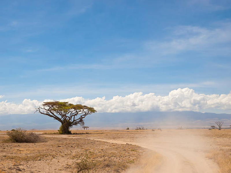 Bilfärd till Masai Mara National Reserve och ditt boende utanför parken