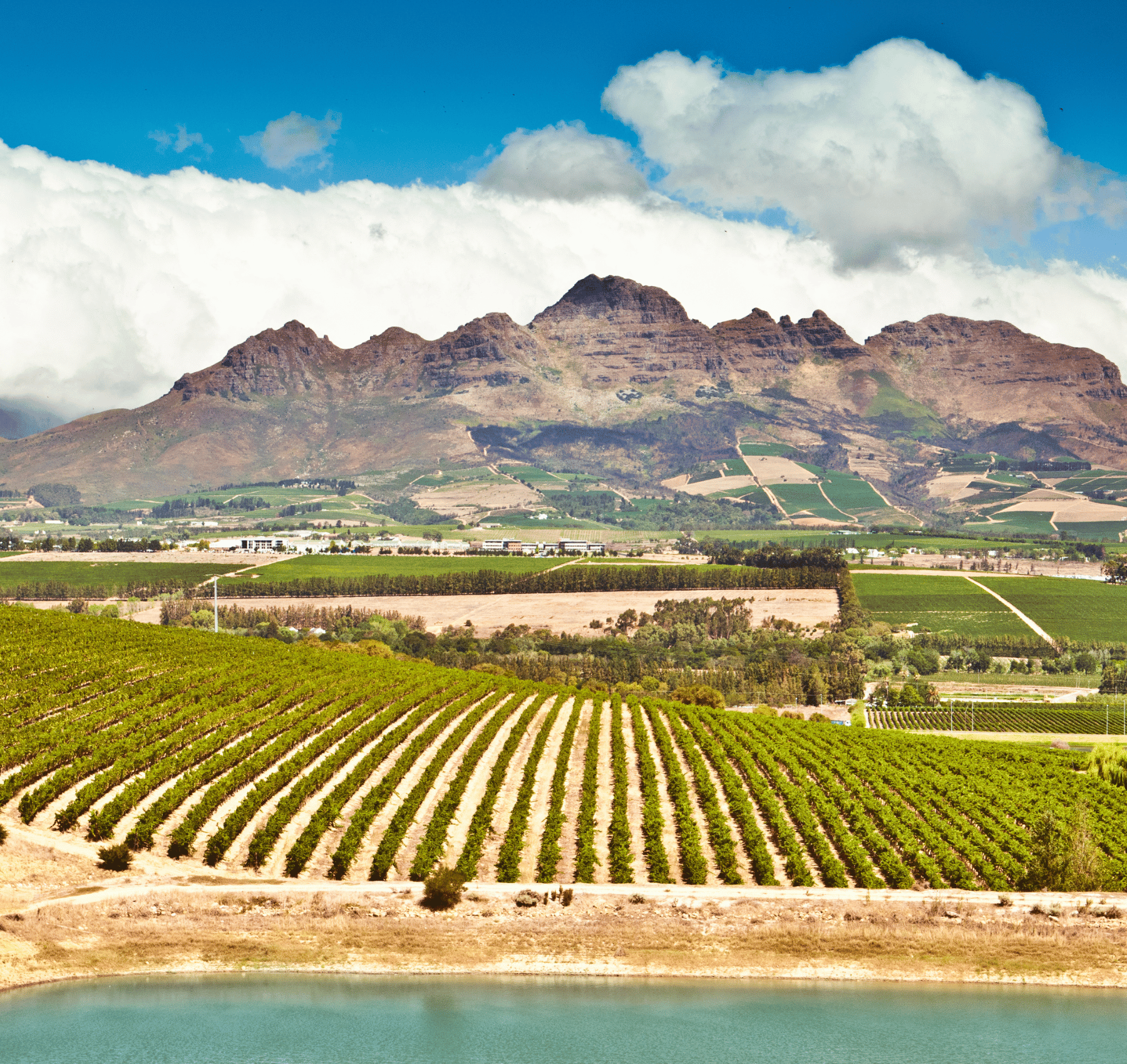 Vy över Sydafrikas vindistrikt - winelands