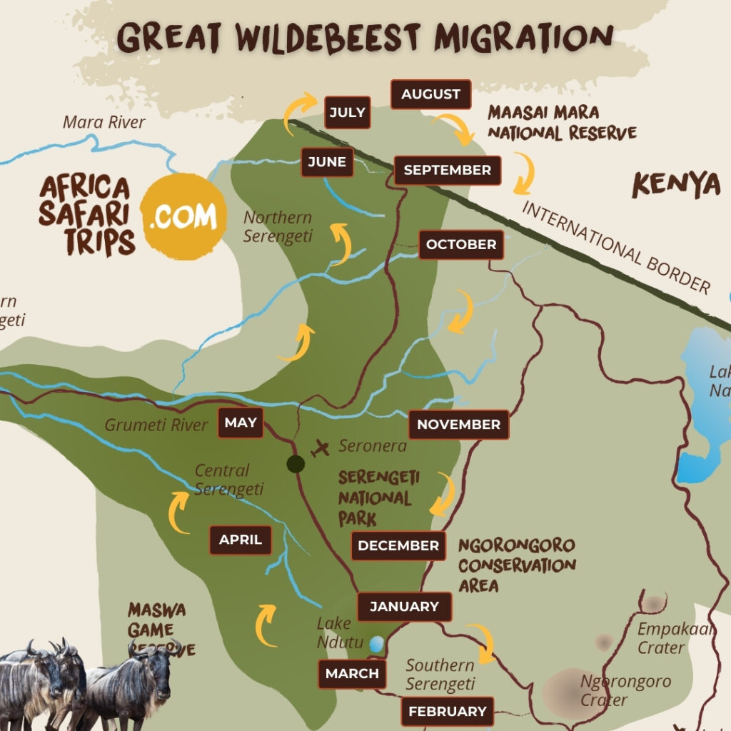 Karta över den stora migrationen i Masai Mara i Kenya
