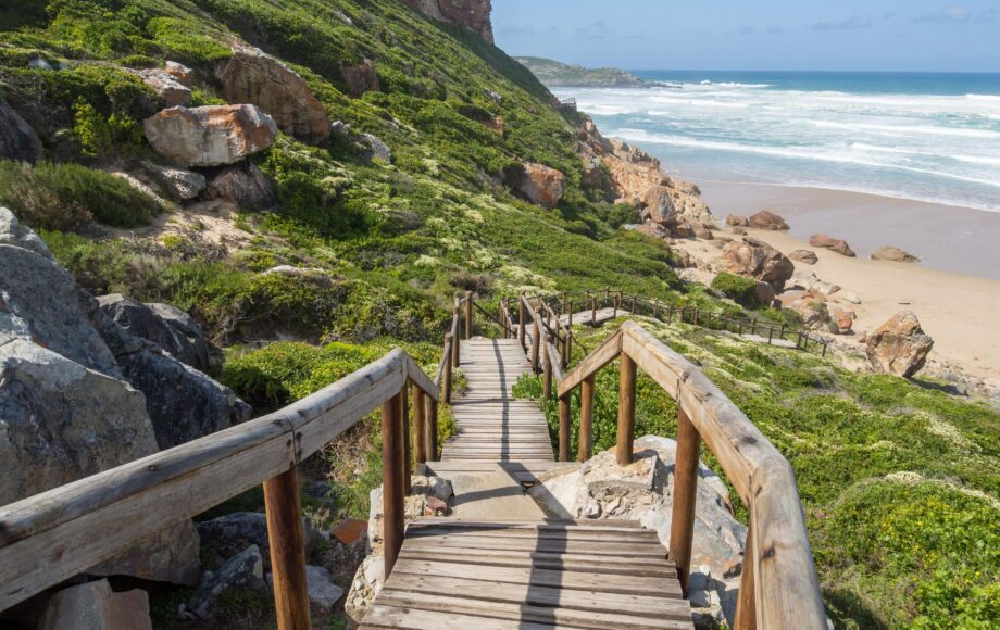 Robberg-naturreservat-trästig