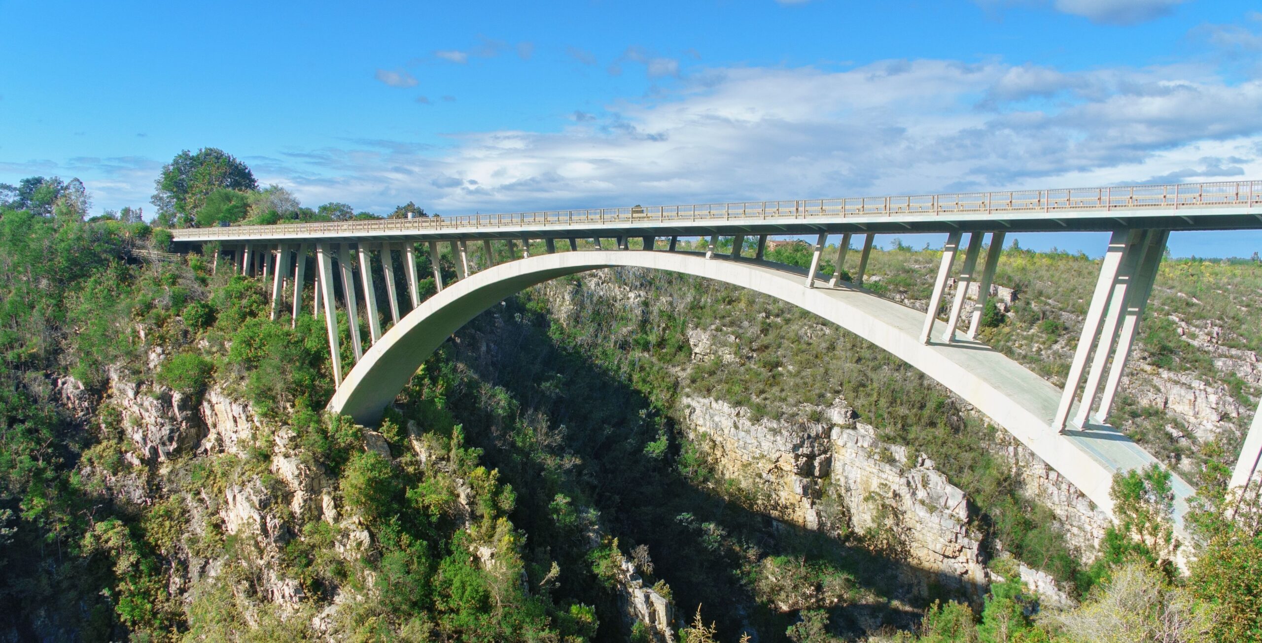 Bilfärd från Plettenberg Bay till Tsitsikamma