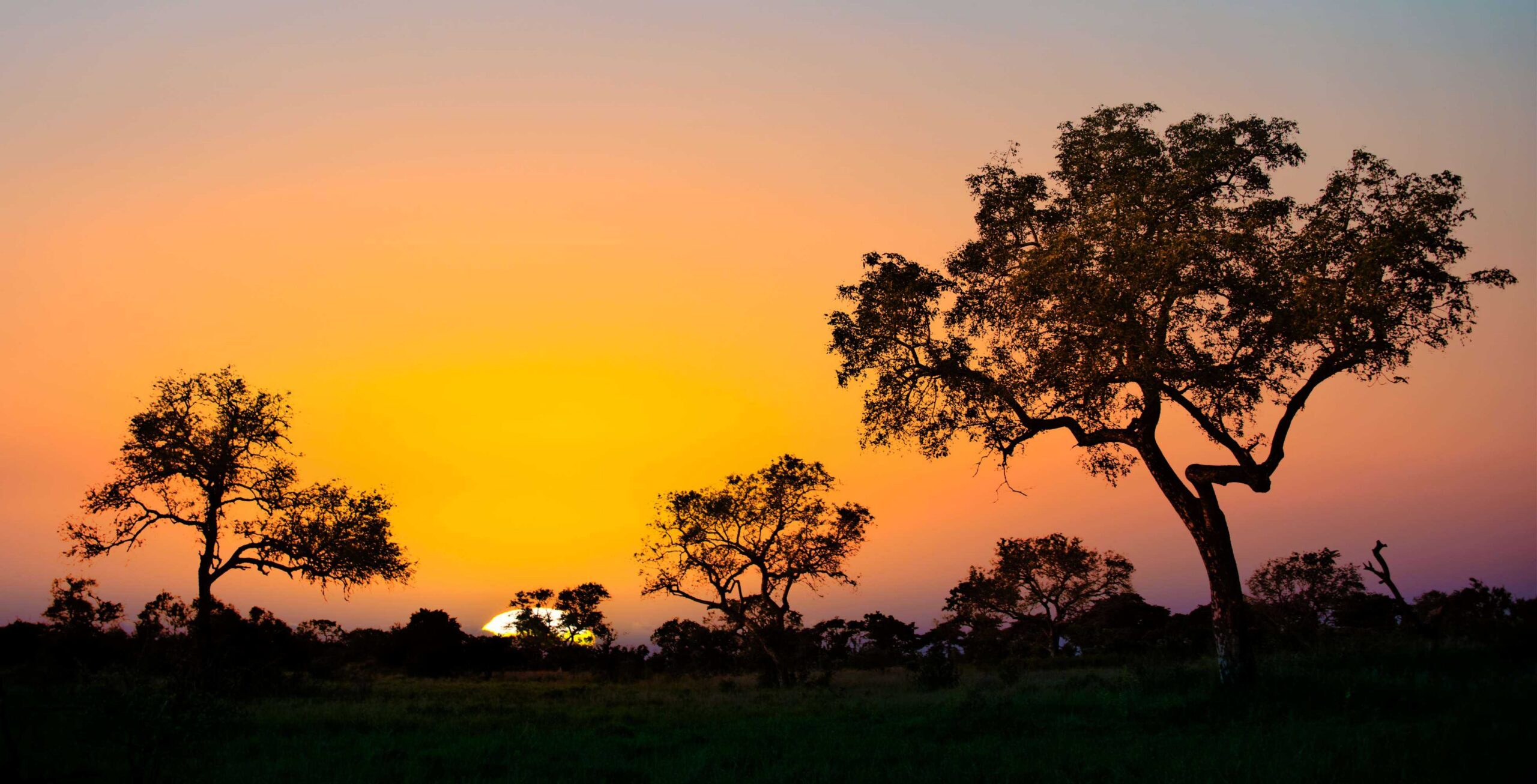 Bilfärd från Mbombela (Nelspruit) till Kruger National Park, Malelane gate