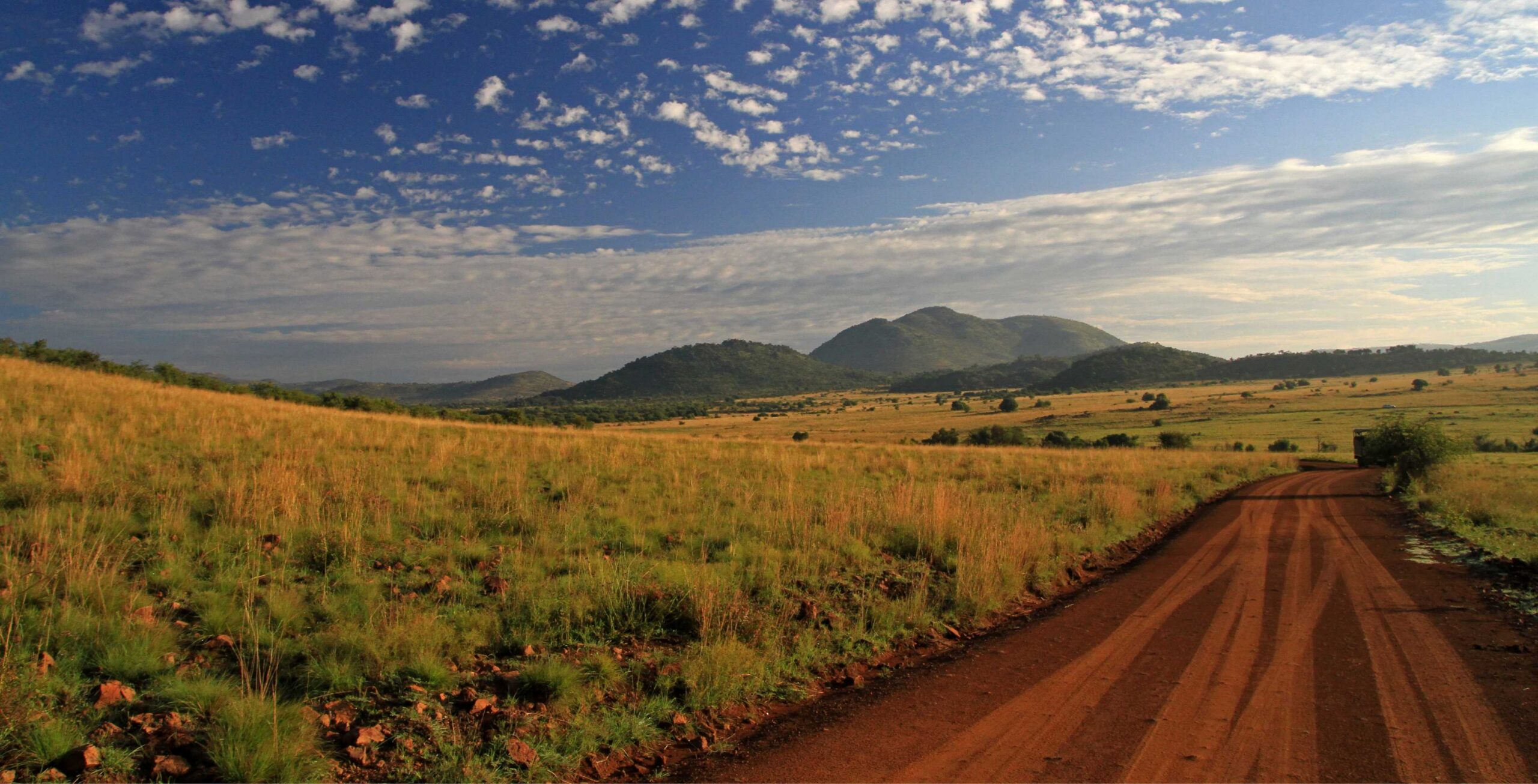 Pilanesberg Nationalpark