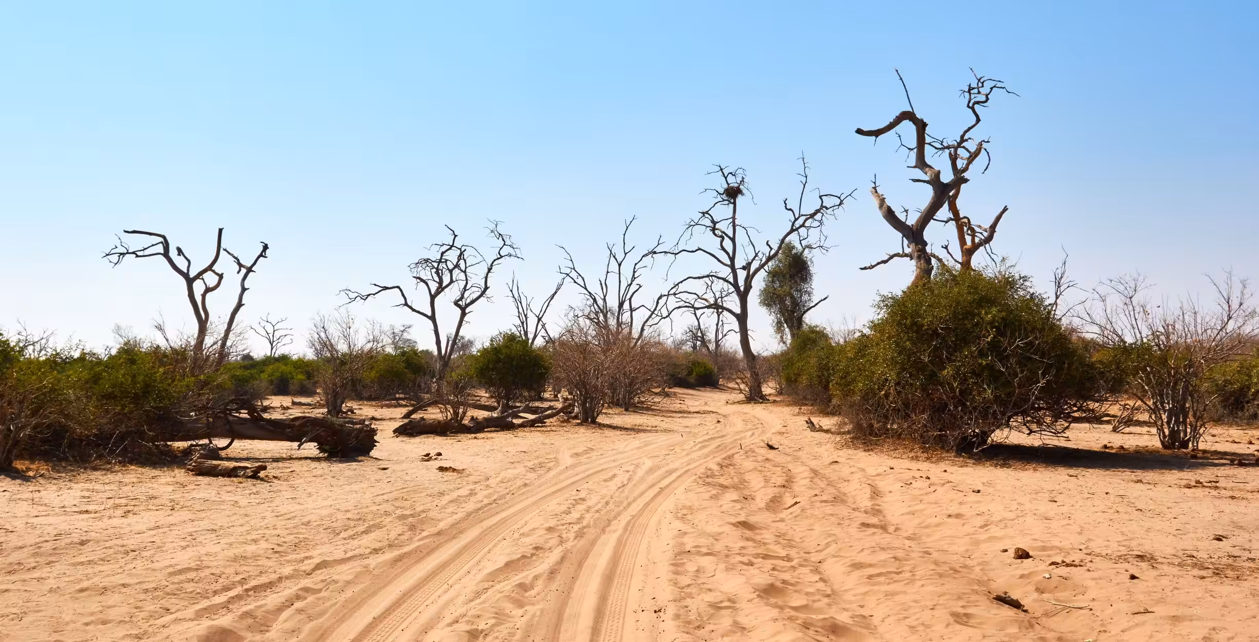 Drive from Savuti Marsh to the Khwai Community Concession