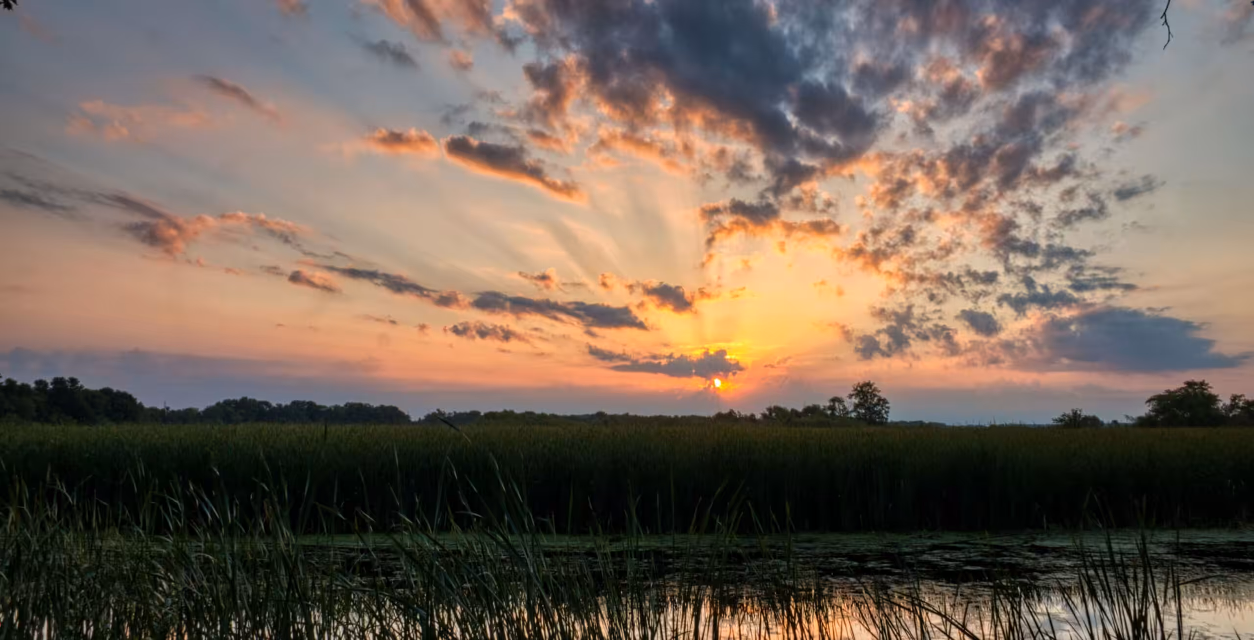 Flyg från Khwai Community Concession till Savuti Marsh