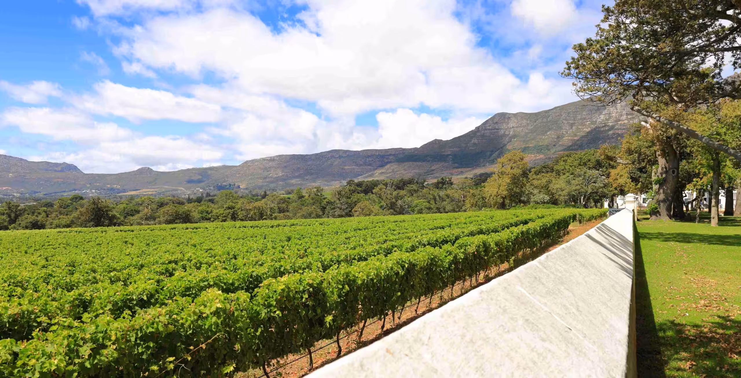Besök i vinkällaren och vinprovning på Groot Constantia (betalning sker på plats)