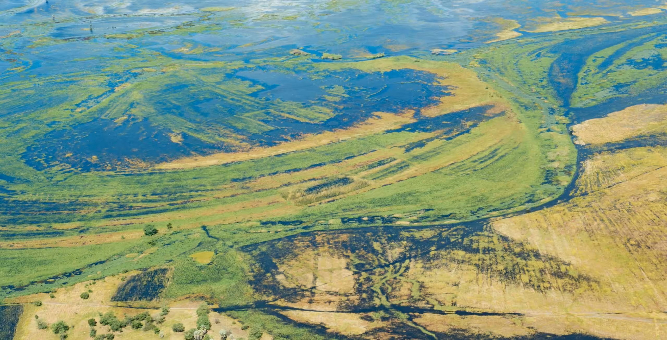 Flyg från Savuti Marsh till Kasane