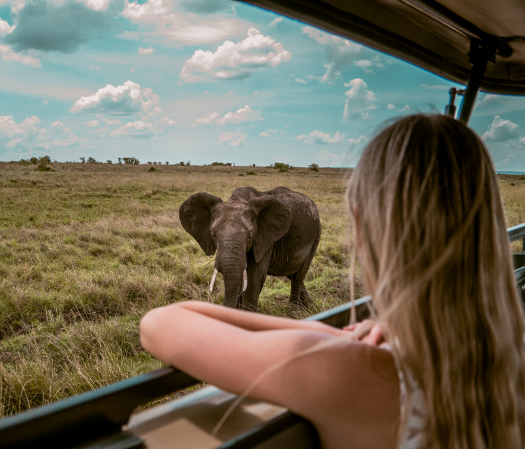 IM_KE_MAR_Client seeing elephant from jeep