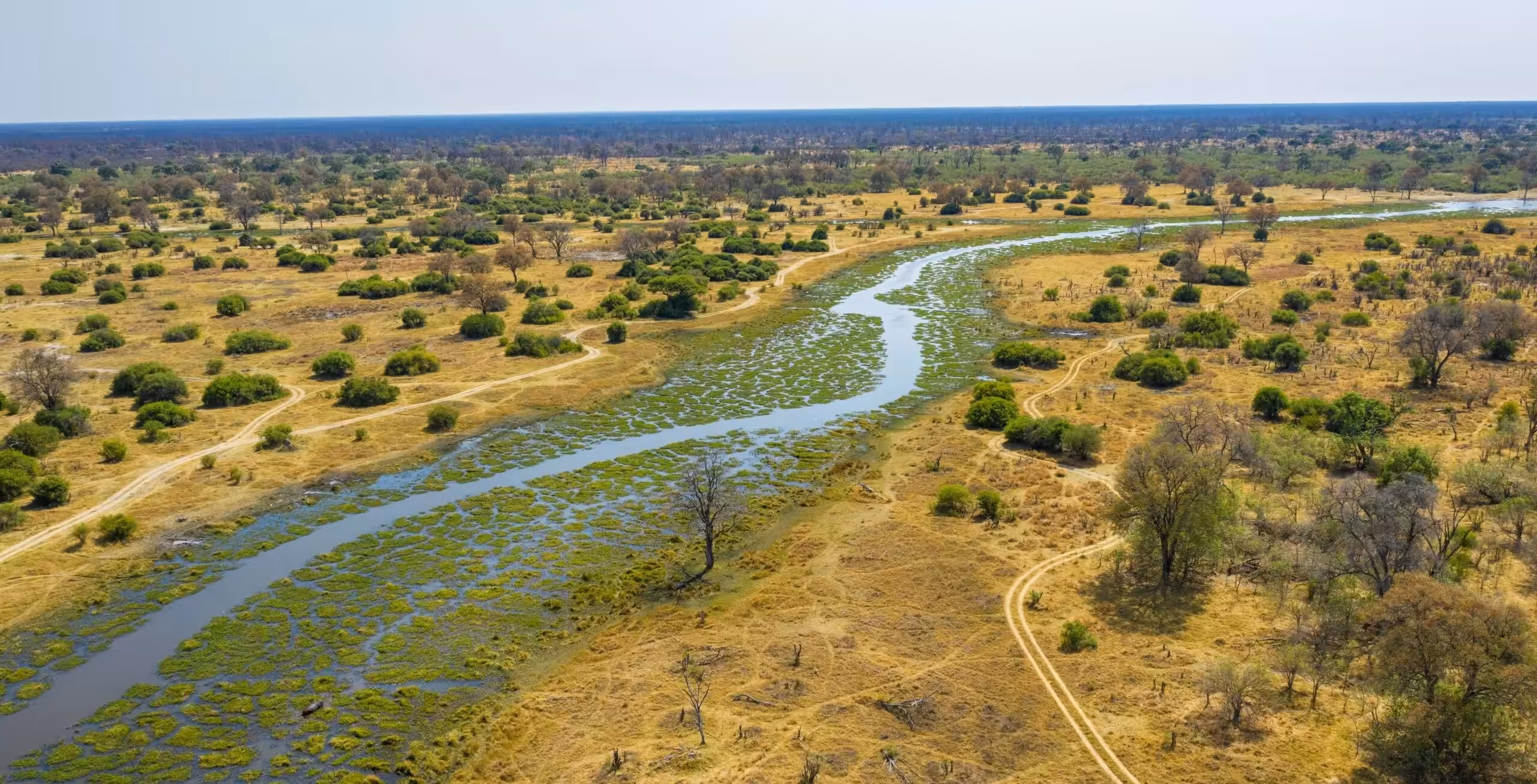 Flyg från Moremi Game Reserve till Khwai Community Concession