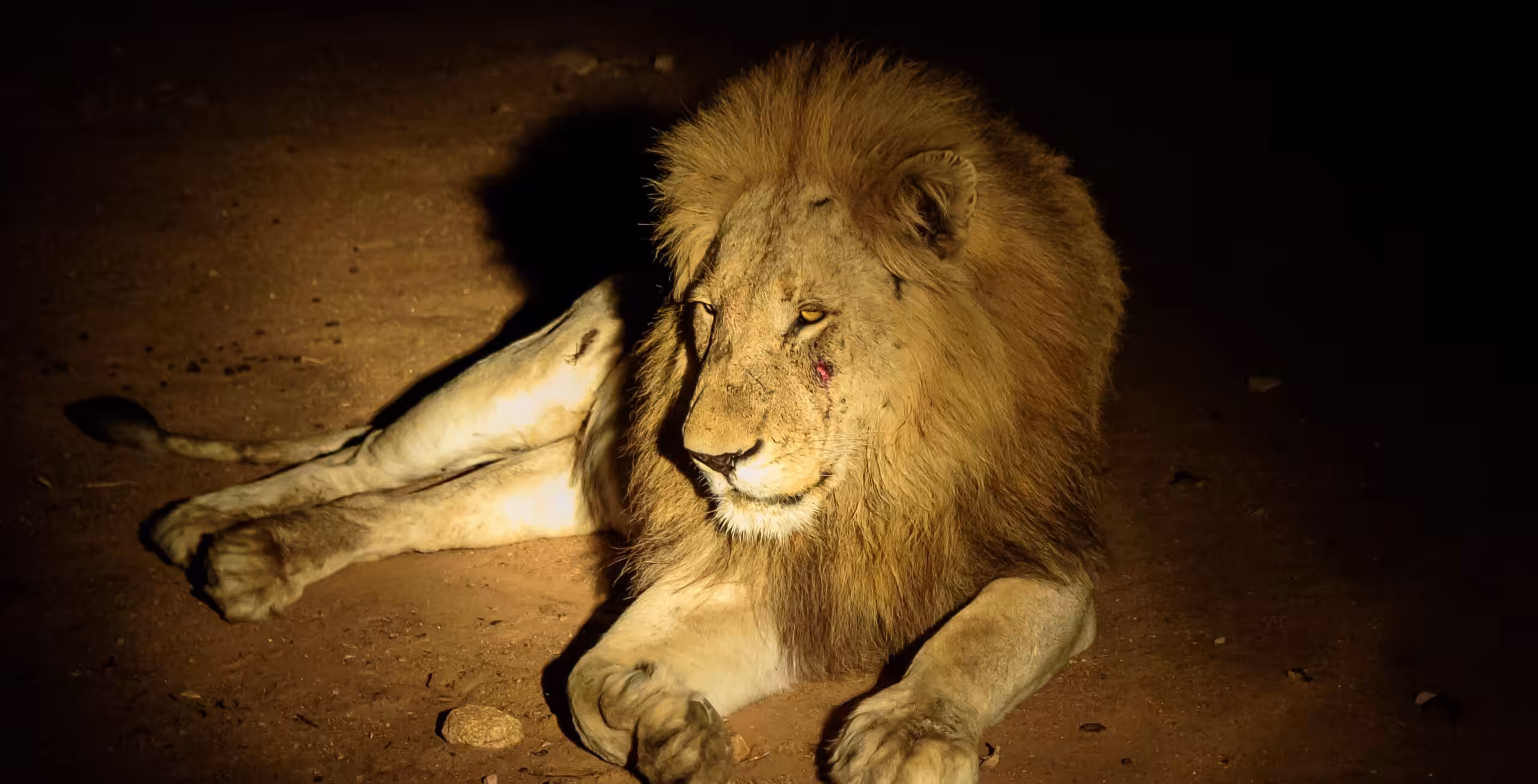 Taita Hills Wildlife Sanctuary and LUMO Conservancy