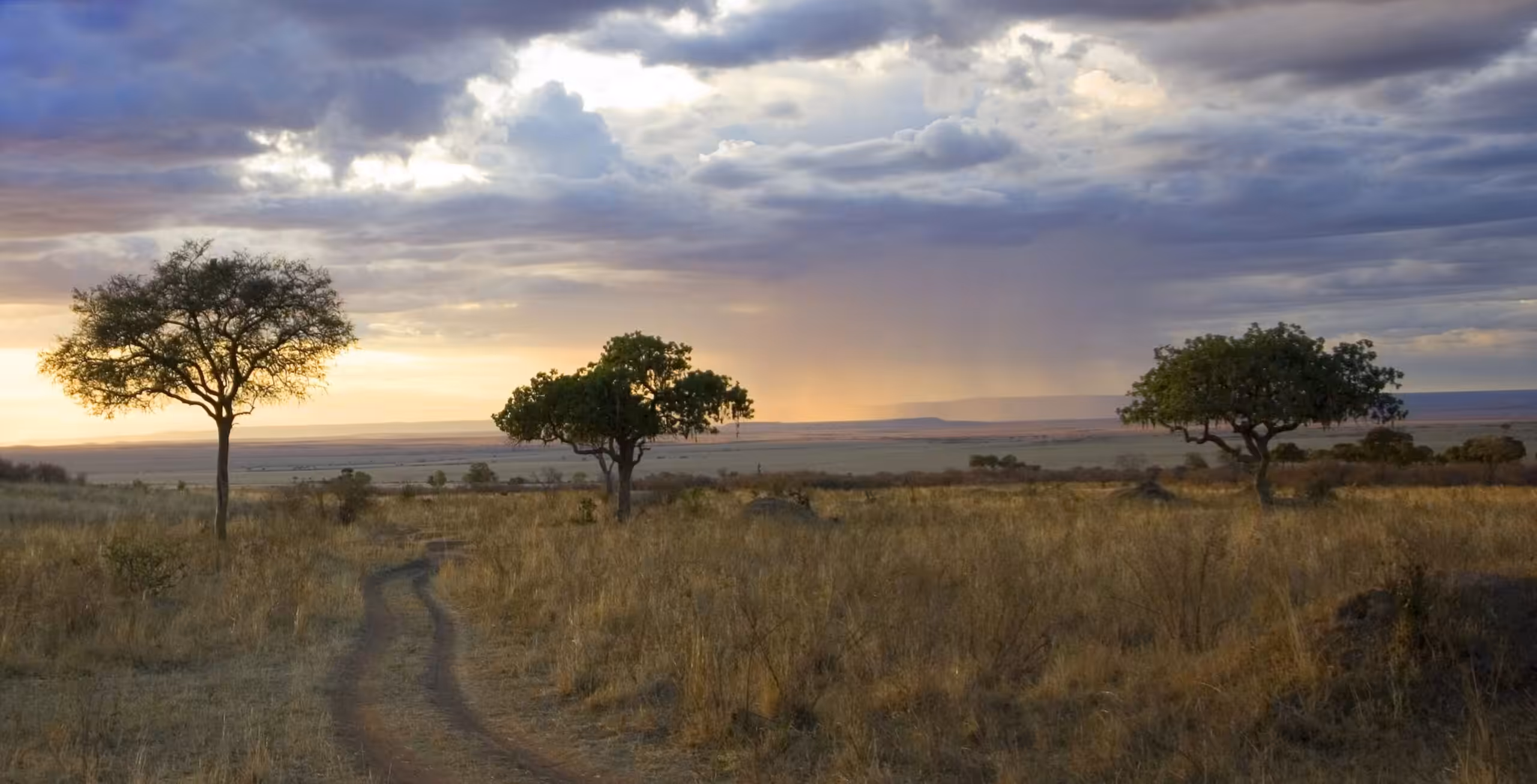Bilfärd till Masai Mara National Reserve och ditt boende utanför parken