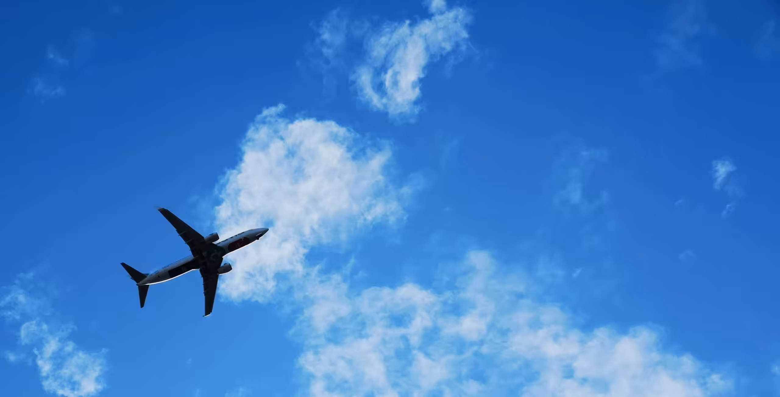Flyg till Diani Beach (inkluderat i priset)