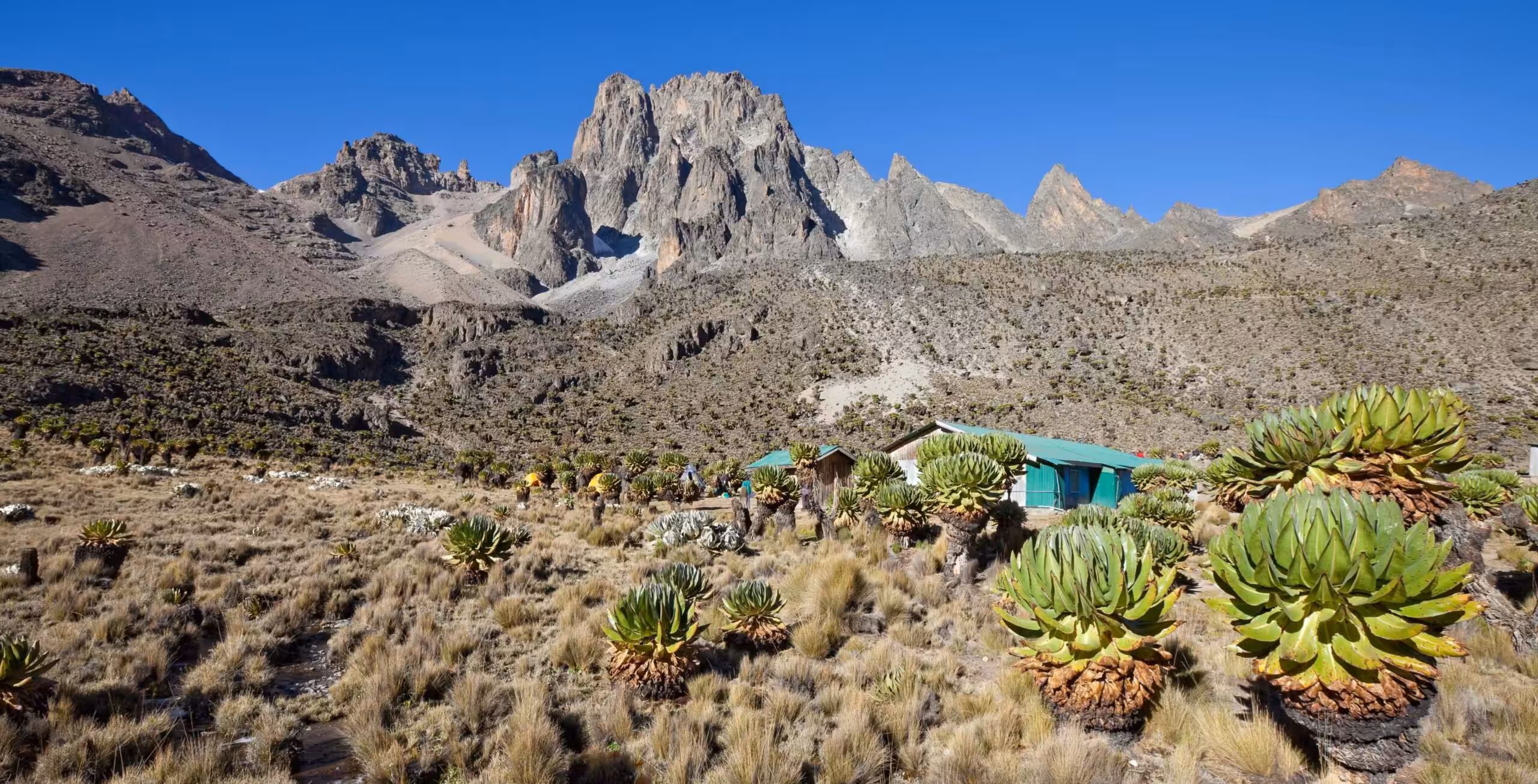 Mount Kenya via Sirimon Route (2/5) | Old Moses Camp (3,340 m/10,958 ft) - Shipton's Camp (4,200 m/13,779 ft)