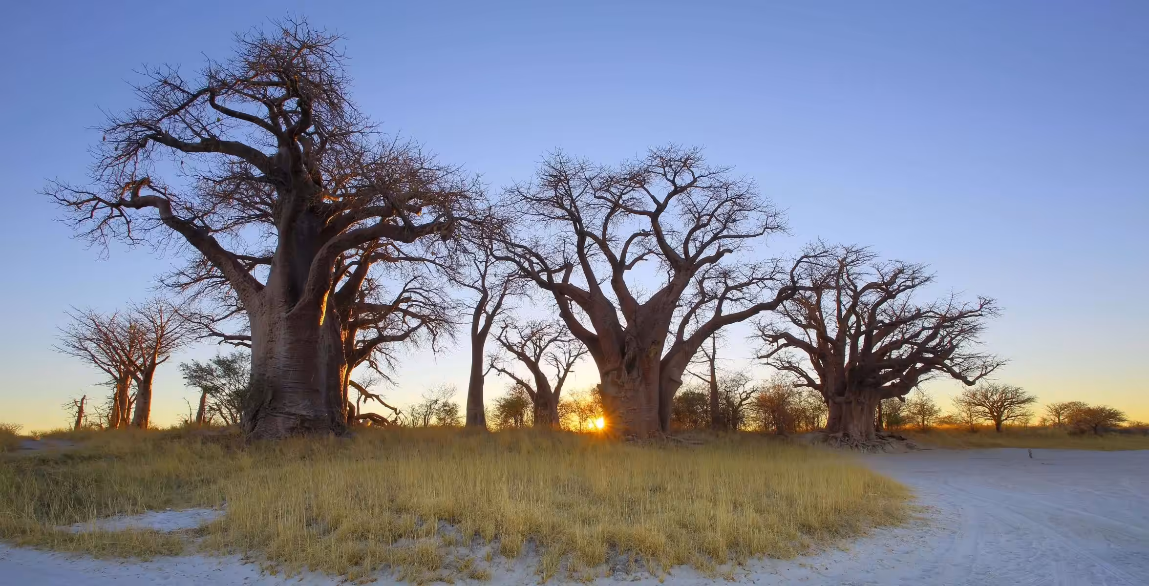 Nxai Pan nationalpark