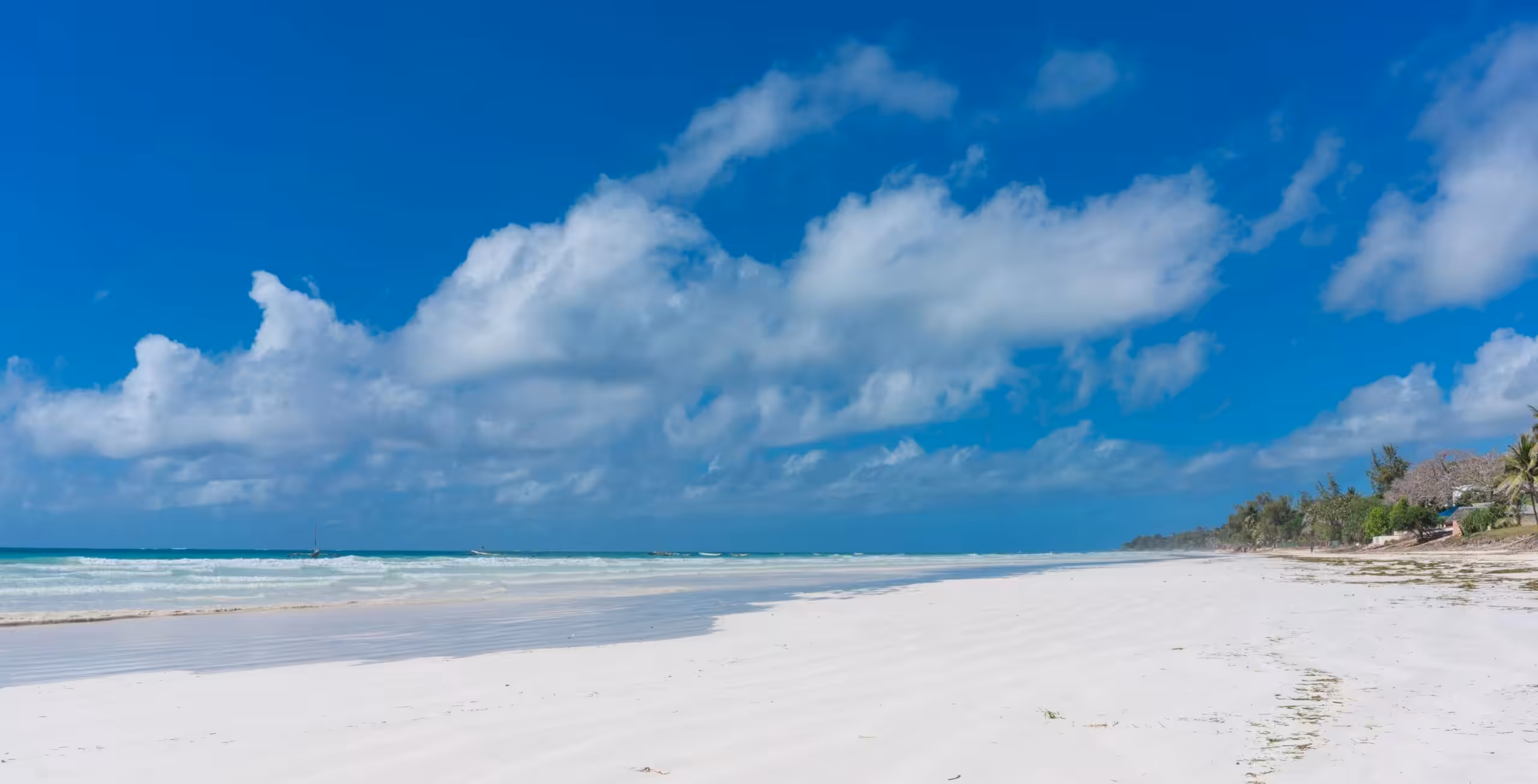 Bilfärd från Tsavo East nationalpark till Diani Beach
