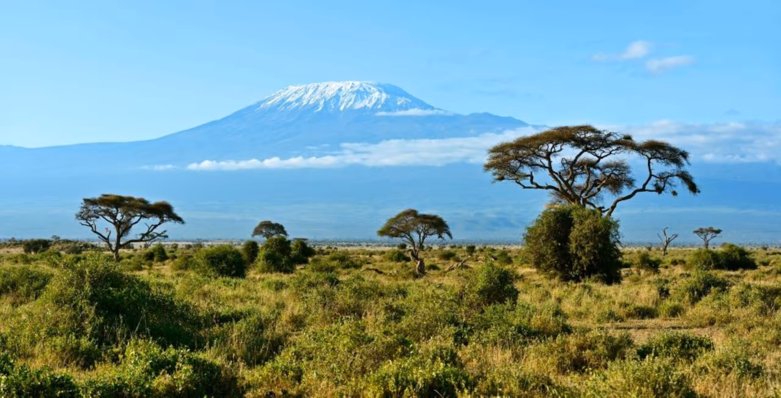 Bilfärd från Lake Naivasha till Amboseli National Park