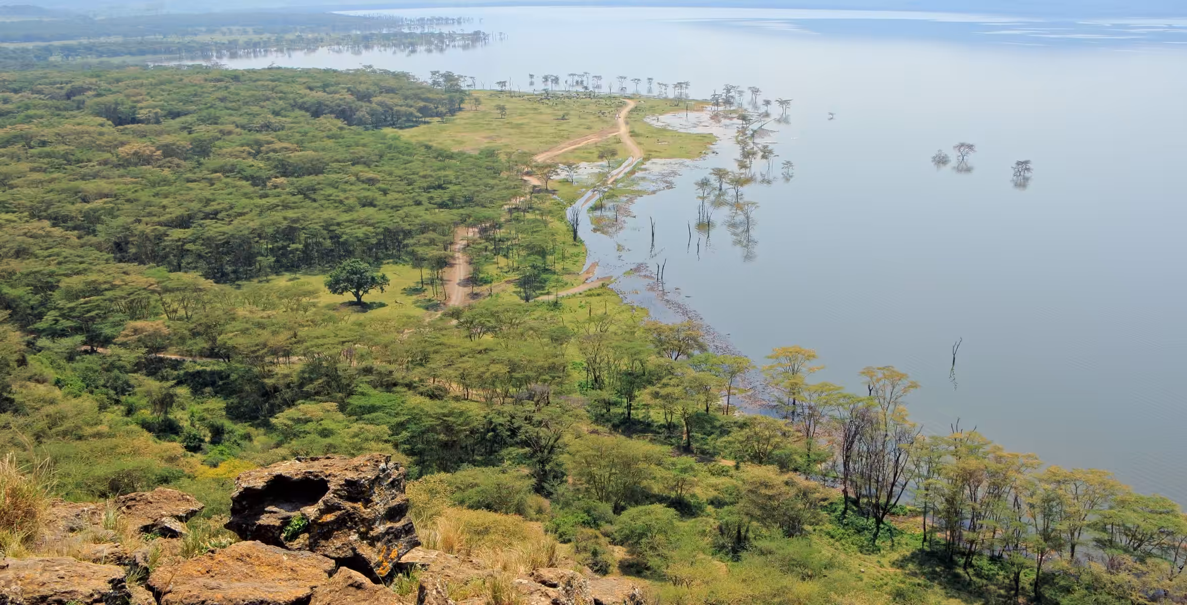 Bilfärd från Solio till Lake Nakuru Nationalpark