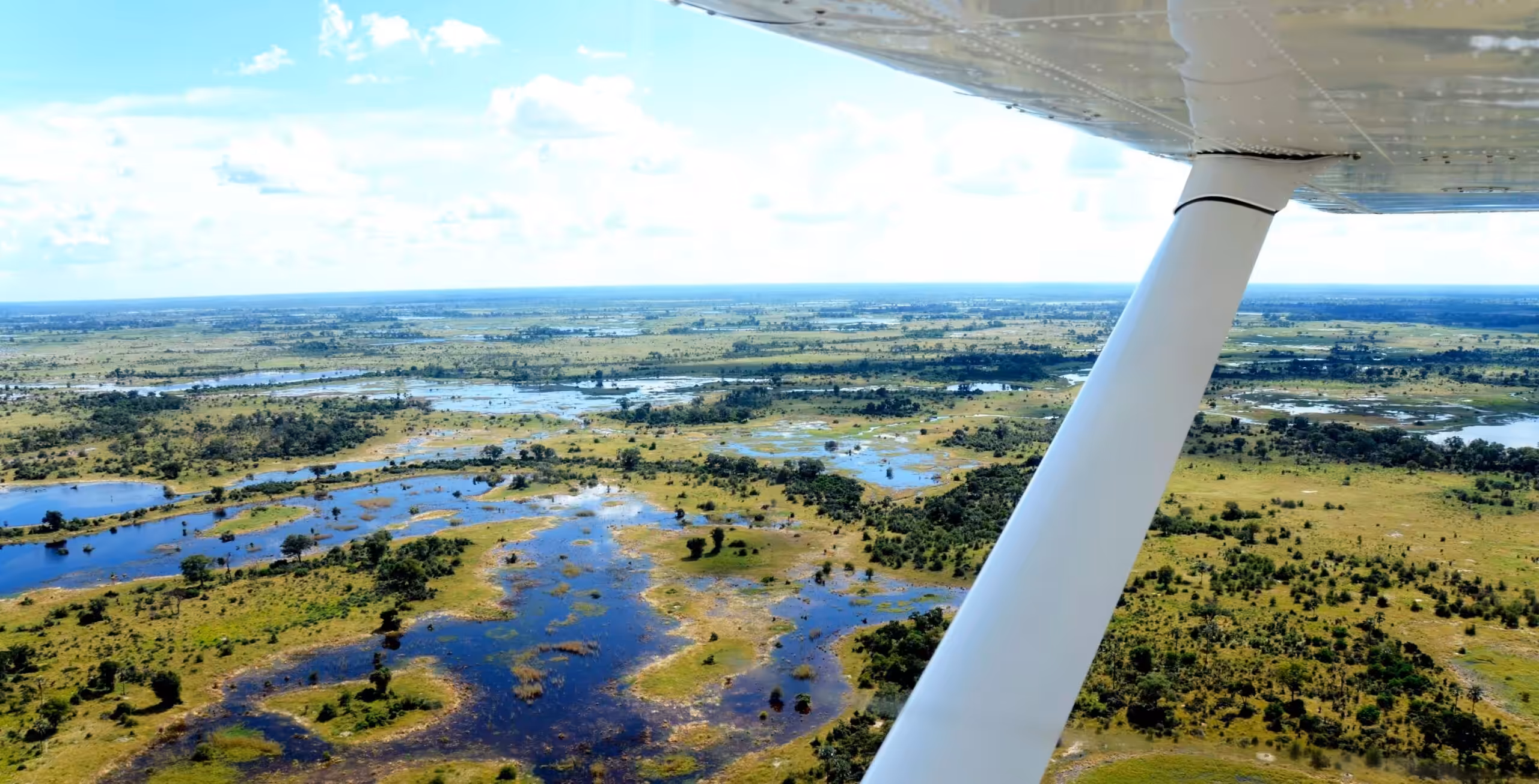 Naturskön helikoptertransfer från Maun till Okavangodeltat