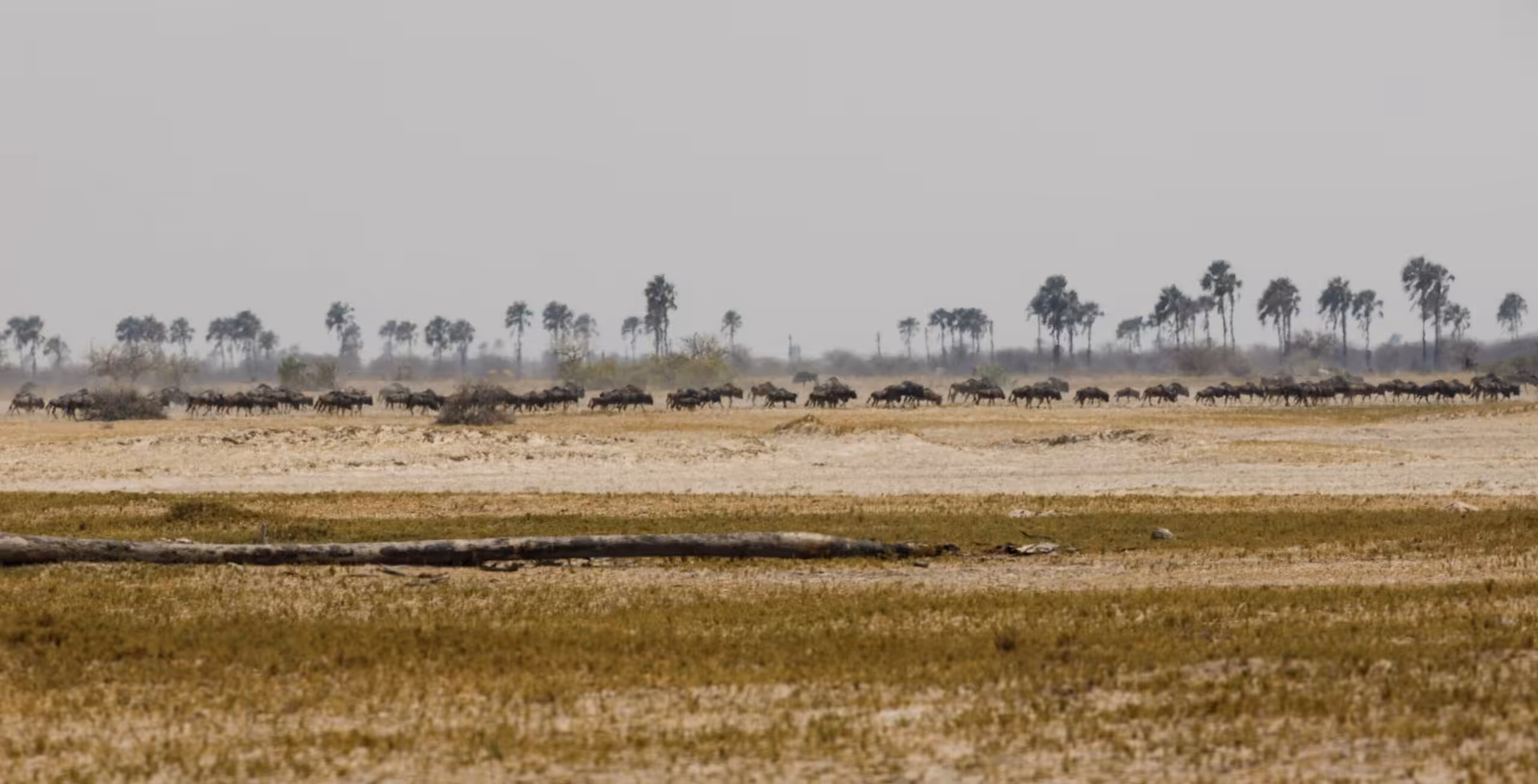 Makgadikgadi Saltöken