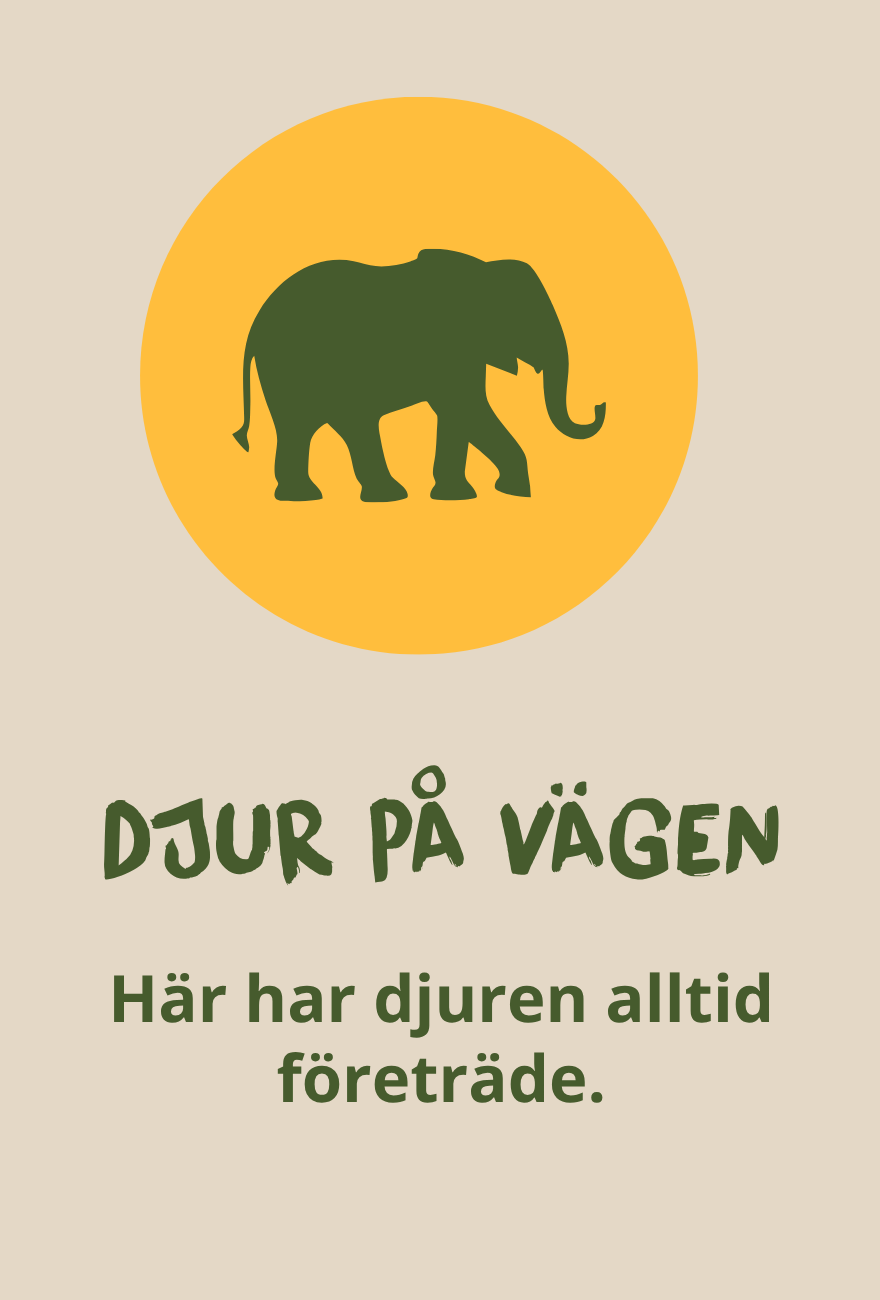 Illustration av en elefant som visar att vilda djur alltid har företräde på Botswanas safarivägar.