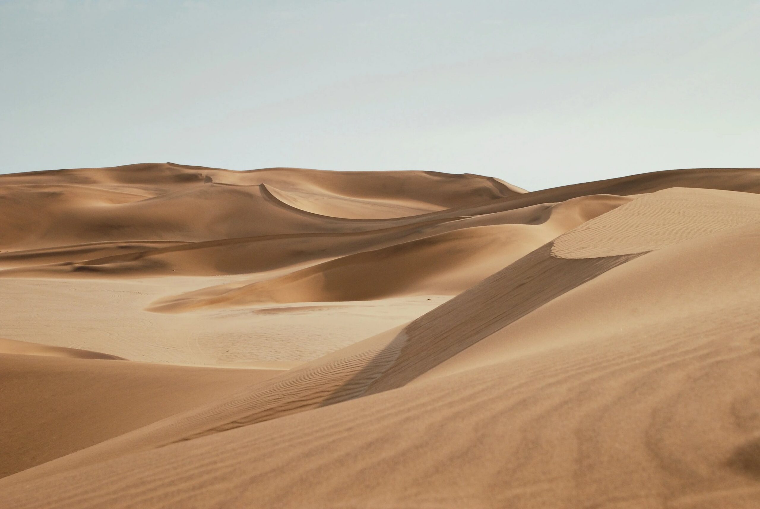 Böljande sanddyner i Namiböknen i Namibia