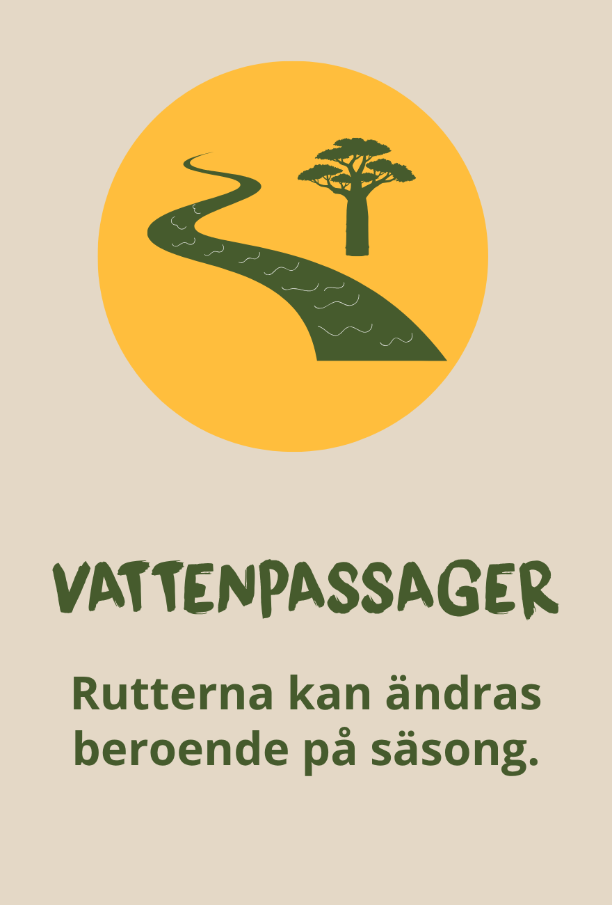 Illustration av en vattenfylld safariväg i Botswana, där rutterna kan förändras beroende på säsong.
