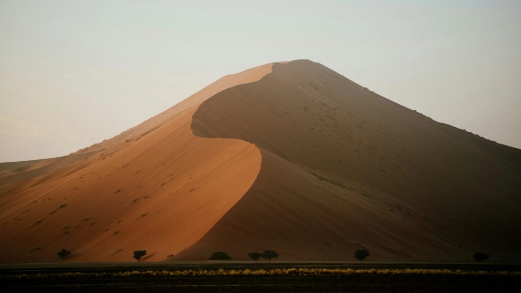 En enorm, böljande sanddyna sedd framifrån vid solnedgången i Sossusvlei