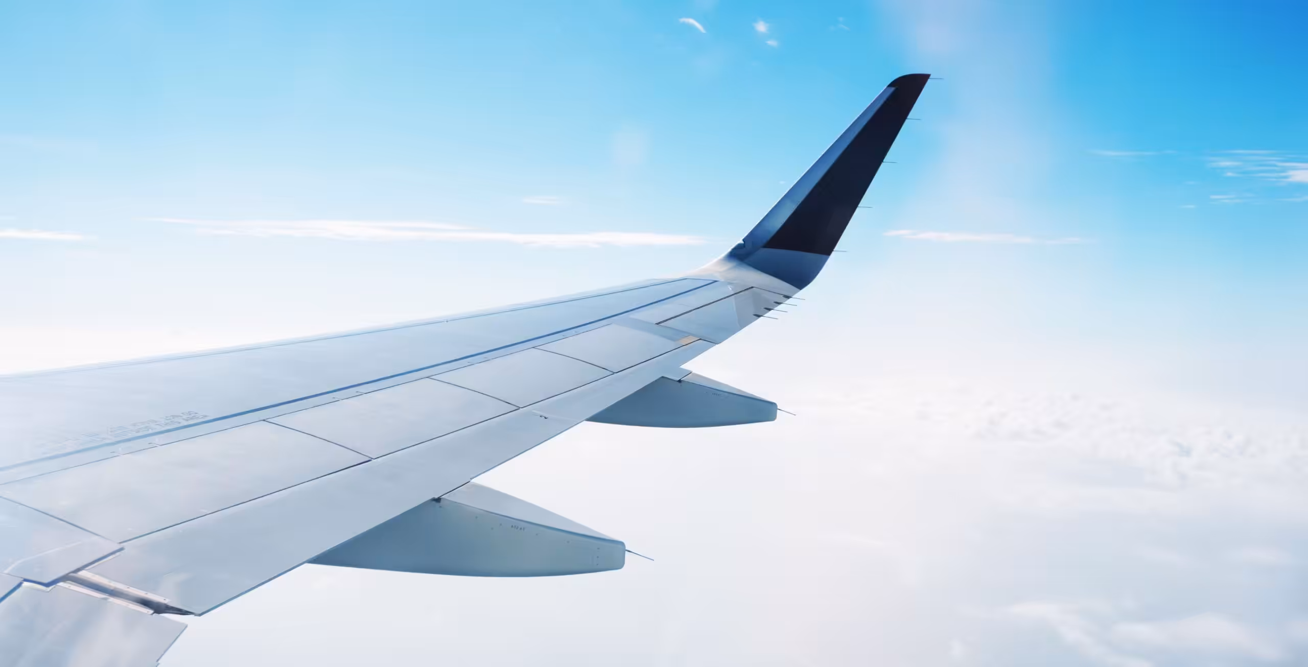 Flyg hem från Hosea Kutako internationella flygplats