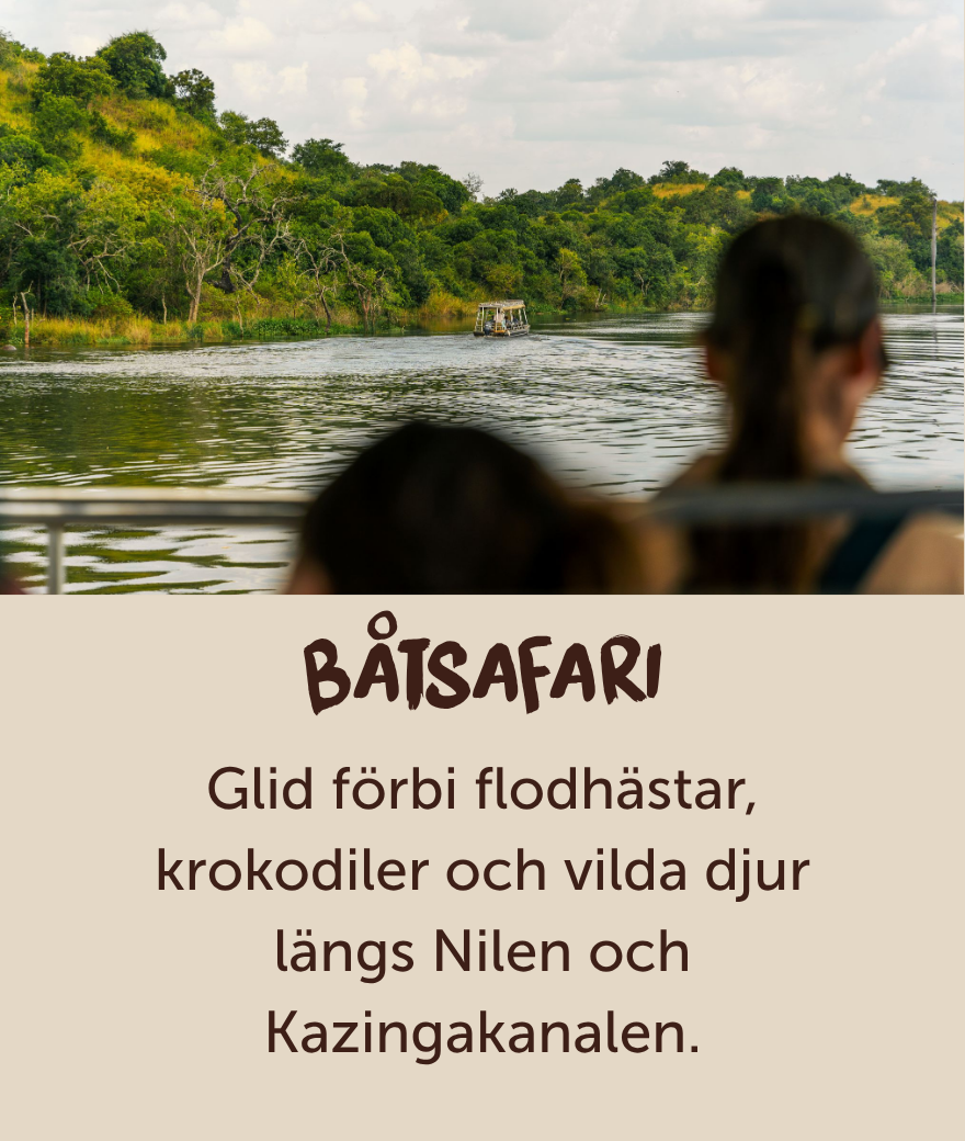 Resenärer njuter av en båtsafari bland Ugandas vilda djur.