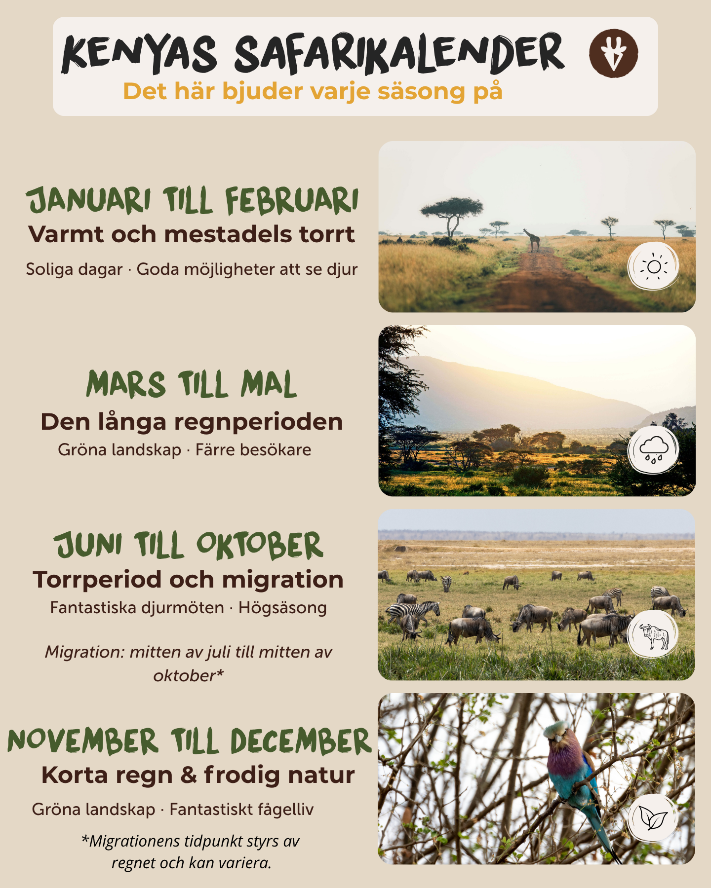 Kenyas safarikalender med torrperioder, långa och korta regn samt den stora gnuvandringen från mitten av juli till mitten av oktober.