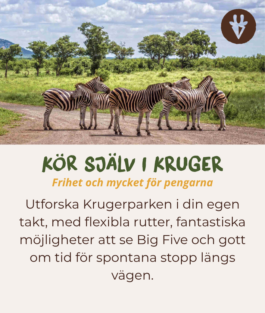 Kör själv-safari i Kruger passar dig som vill ha frihet, få mycket för pengarna och utforska området i din egen takt.