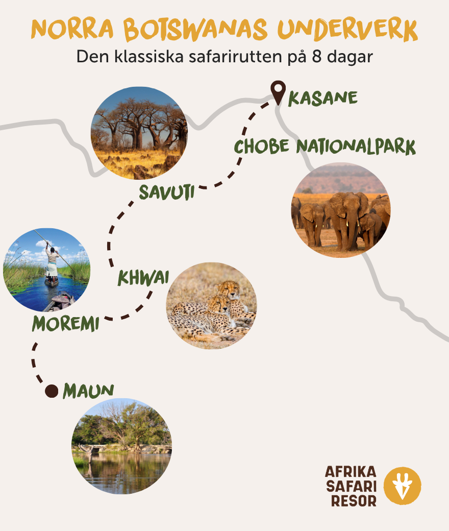 Karta över den klassiska åttadagars safarirutten i norra Botswana, från Maun till Kasane via Moremi, Khwai, Savuti och Chobe nationalpark.