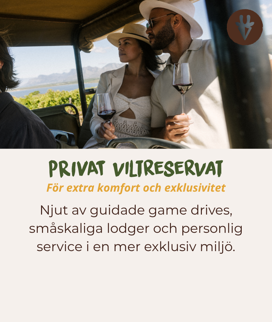 Safari i ett privat viltreservat med guidade safariturer, personliga lodger och skräddarsydd service.